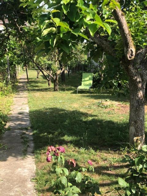 Chez Carmen Villa Albi Kültér fotó